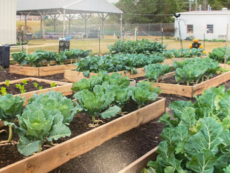 Reap what you sow: Troy University GAPS program provides a second chance for incarcerated individuals