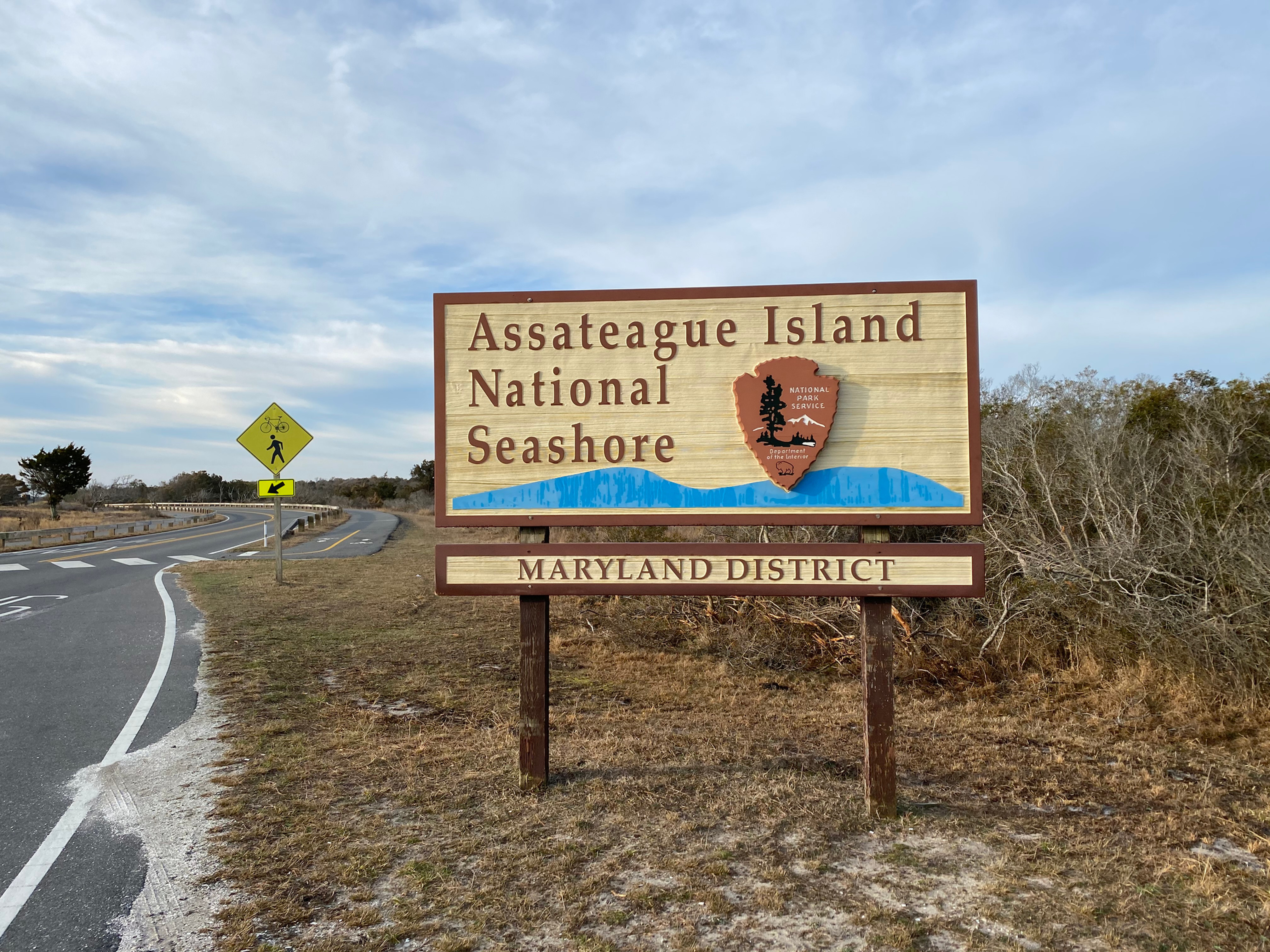 Blog Assateague Island Tours