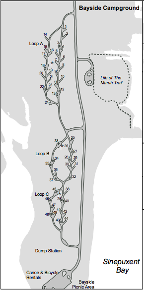 assateague island maps
