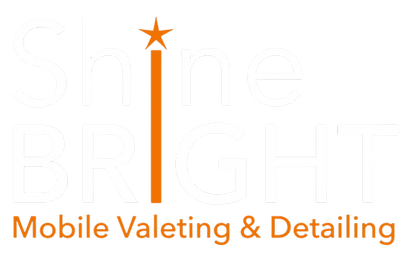 Shine Bright Logo grey large transparent.png