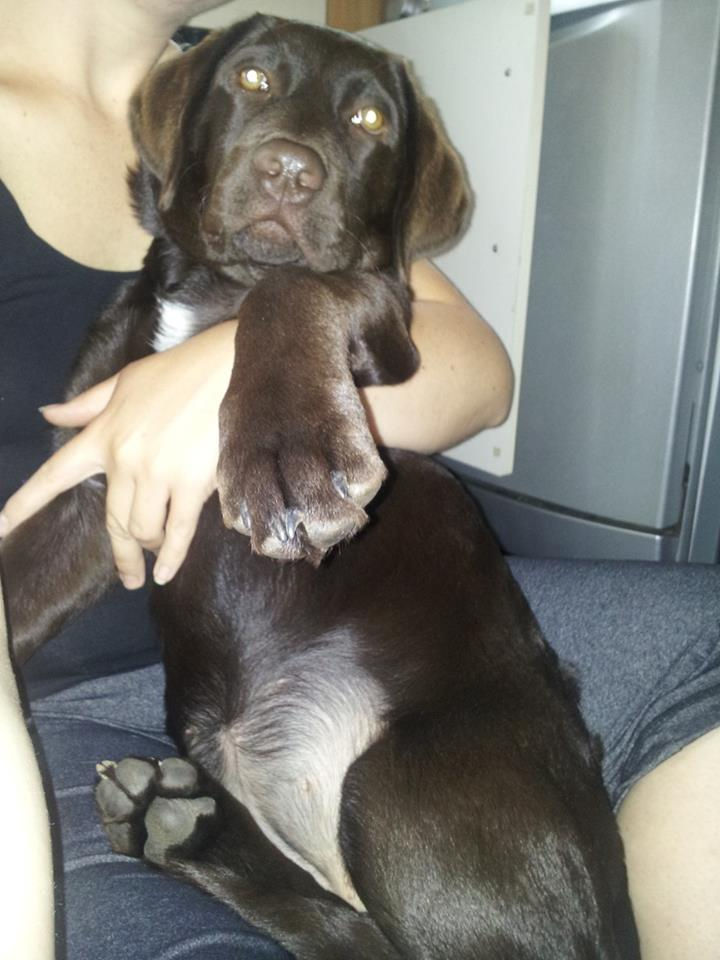 lola1
