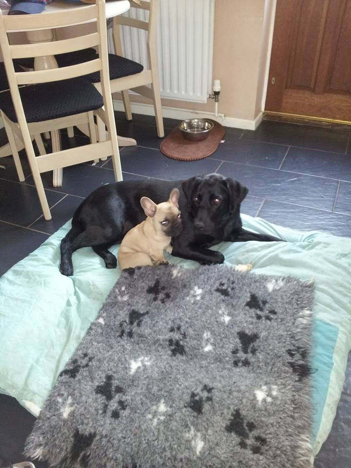 cuddling