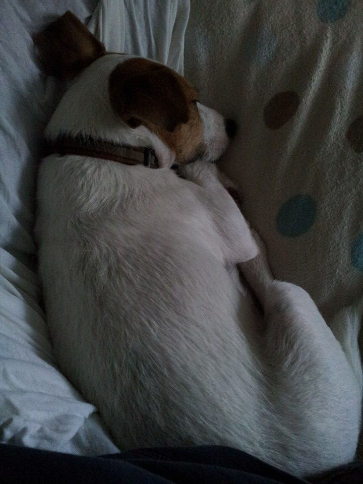 benny