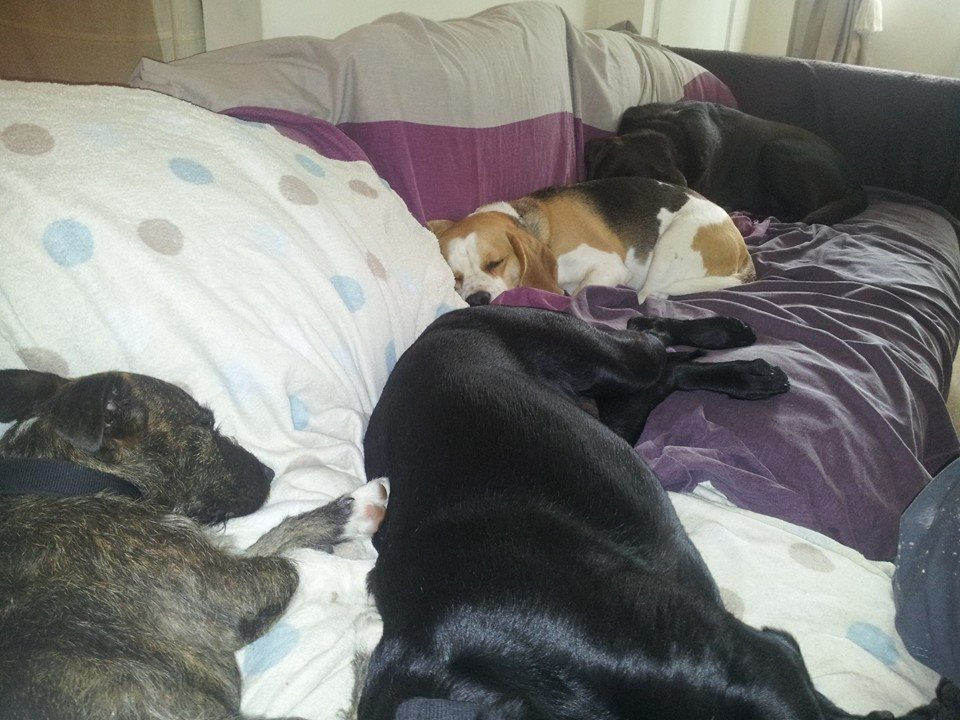 no room for me