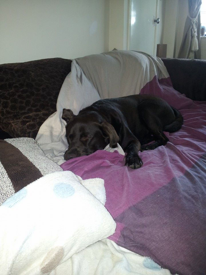 sleeping
