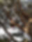 285069416_126706003361941_6174076057608488593_n (1).jpg