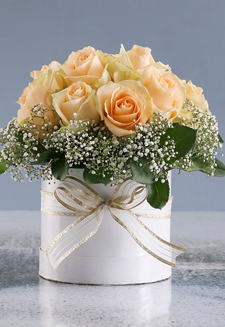 sympathy gift.jpg