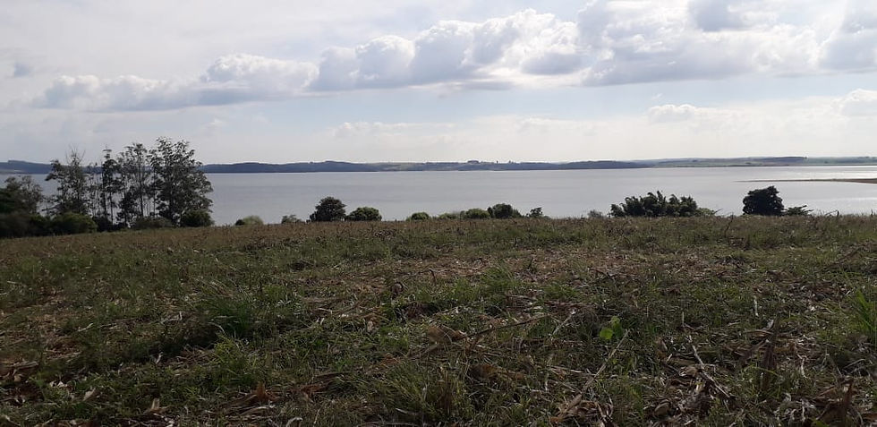 Miniatura: Área de 72.000 m² as margens da represa jurumirim em Piraju/SP