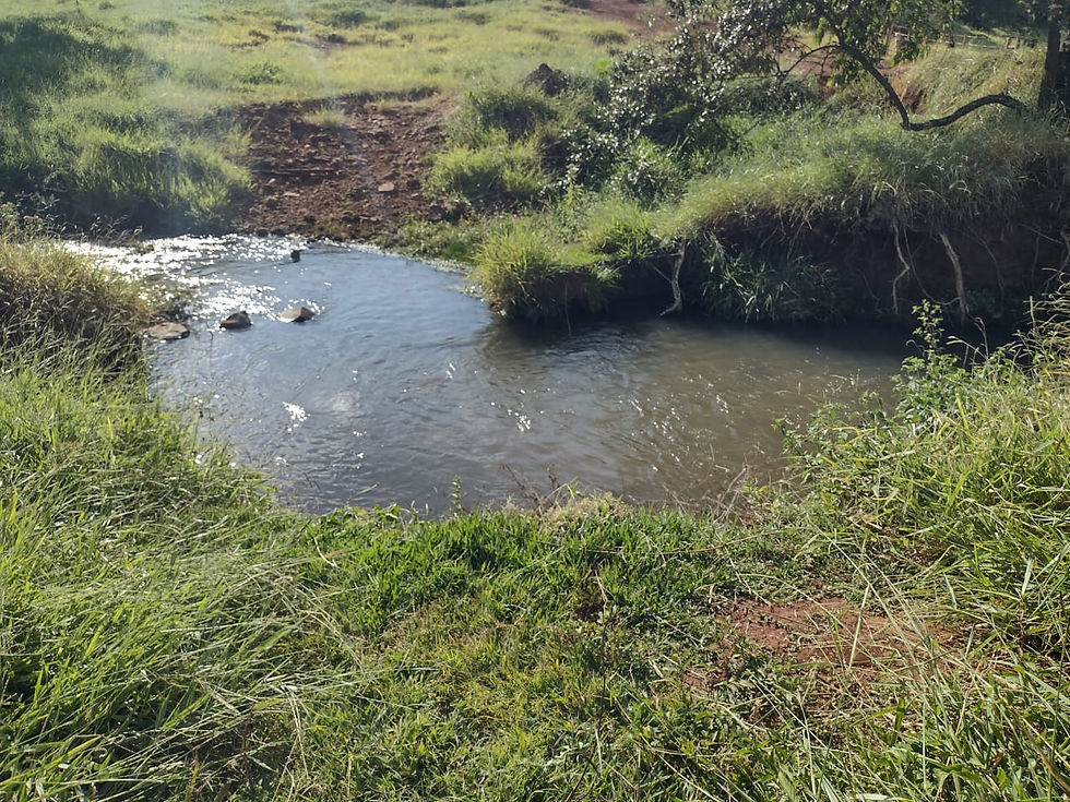 Miniatura: Fazenda de 48 alqueires em Arandu/SP