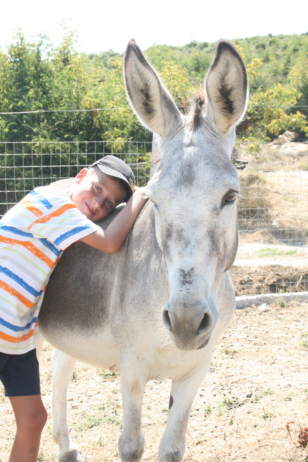 friendly farm animals