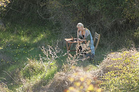 blue eye kayak.jpg