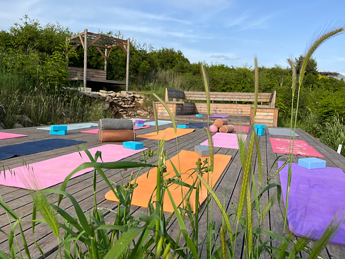 yogadeckforeground.jpg.HEIC