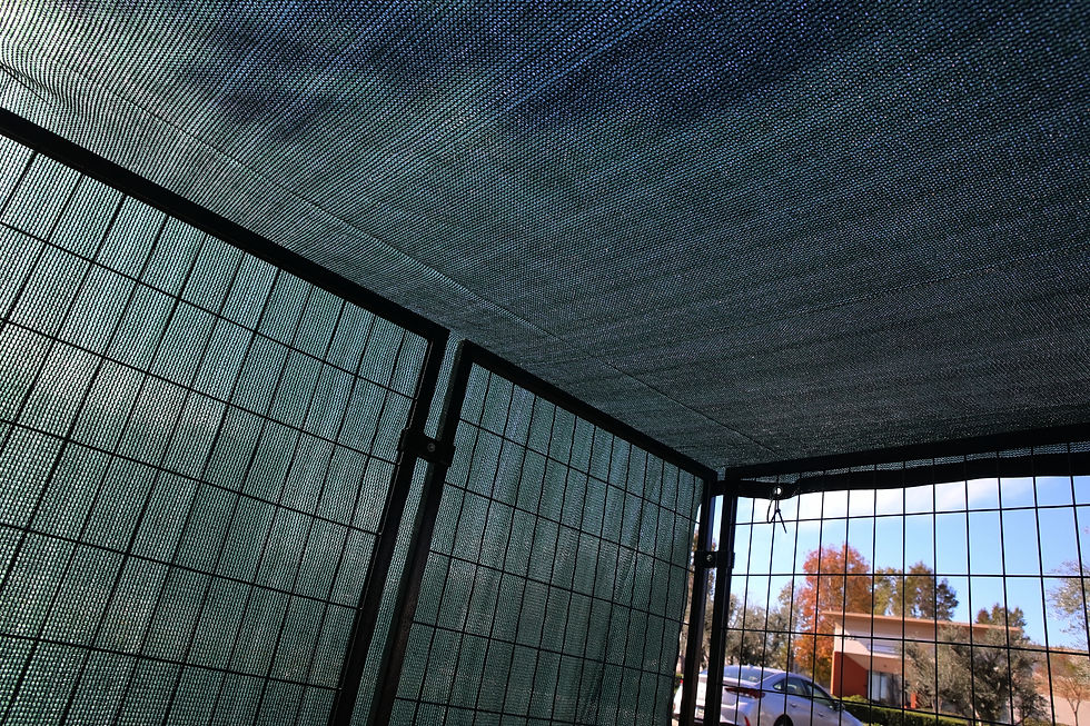 windscreen supply company fence screens