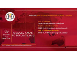 Anadolu Yakası PD Toplantısı 2