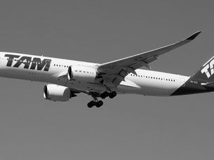 Zombaria após a Tragédia