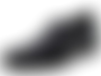 O Sapato e o Bobo Moderno