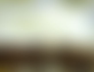 Vista de Delft, Vermeer