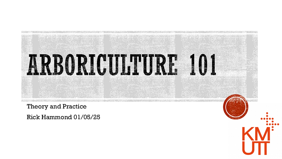 The Secret Life of City Trees: 5 Things an Arborist Wants You to Know