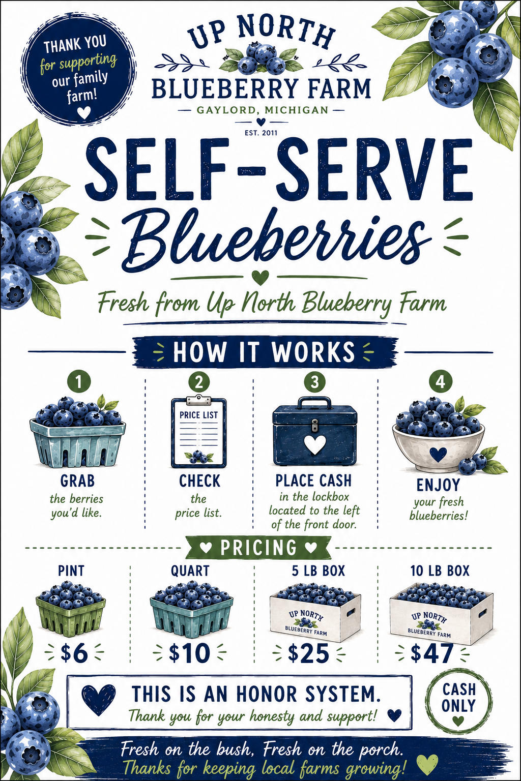 Fresh blueberries in a container outdoors