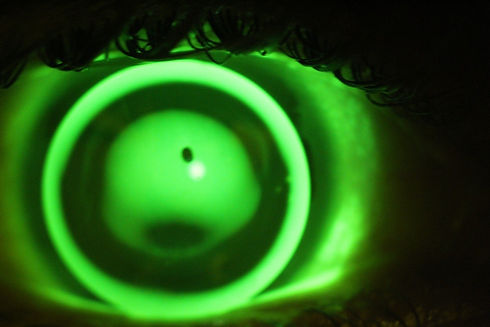 image_6487327 (1).JPG