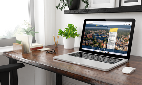 Laptop on desk with plant and glasses nearby.
