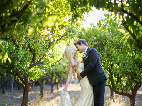 The Conservatory Wedding Venue, Franschhoek