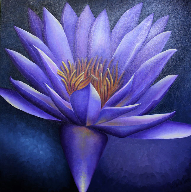 Affordable and Beautiful