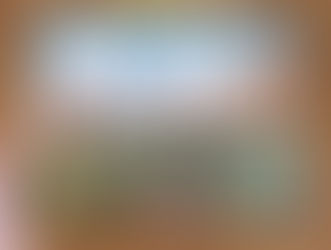 Dann Powers' Red Rock Art