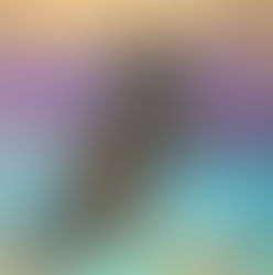 Naomi Brown Revisited