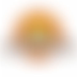 Hopi Holiday Project