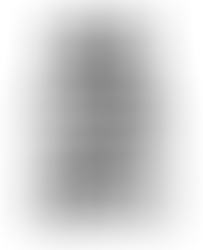 Supporting Local Artists!