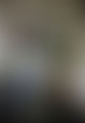 JuJu Works by Judith Penvenne