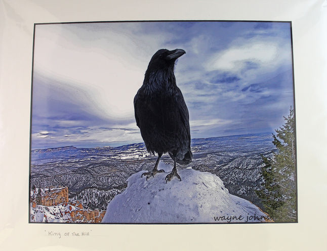 What is a Raven?  What is a Crow?