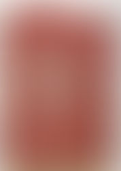 Do Your Sunday Shopping at SAM