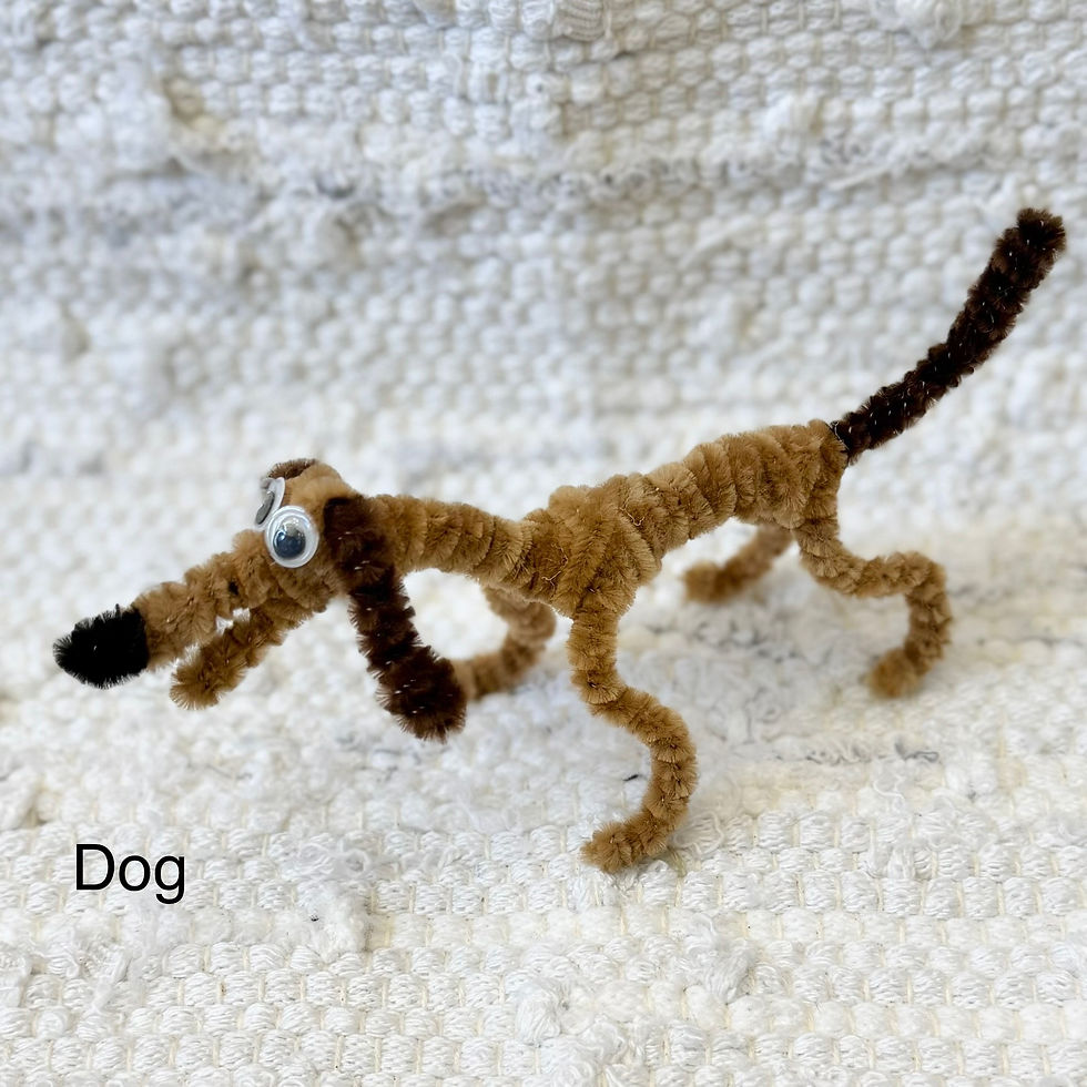 Thumbnail: Pipe Cleaner Creatures by Isaac