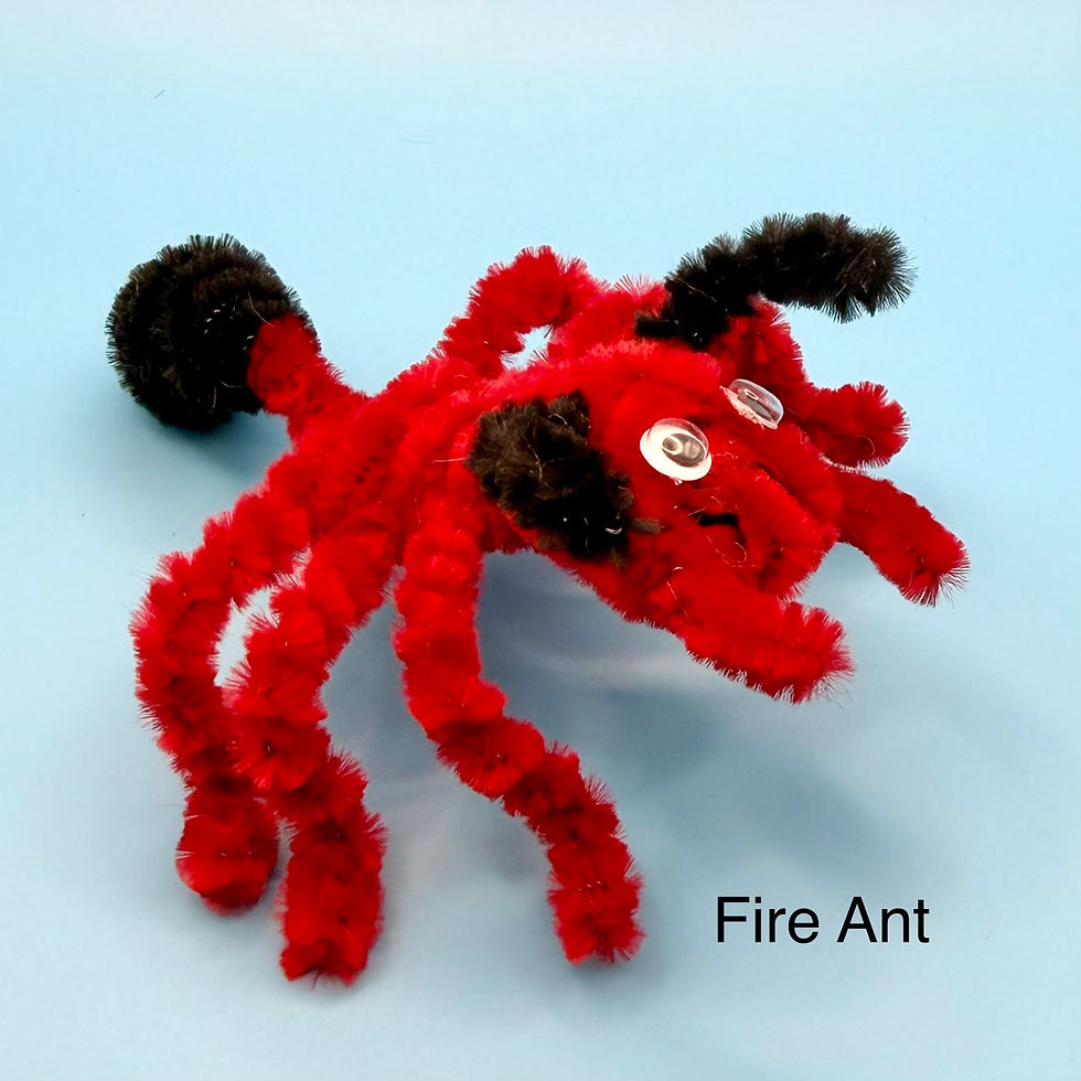 Thumbnail: Pipe Cleaner Creatures by Isaac