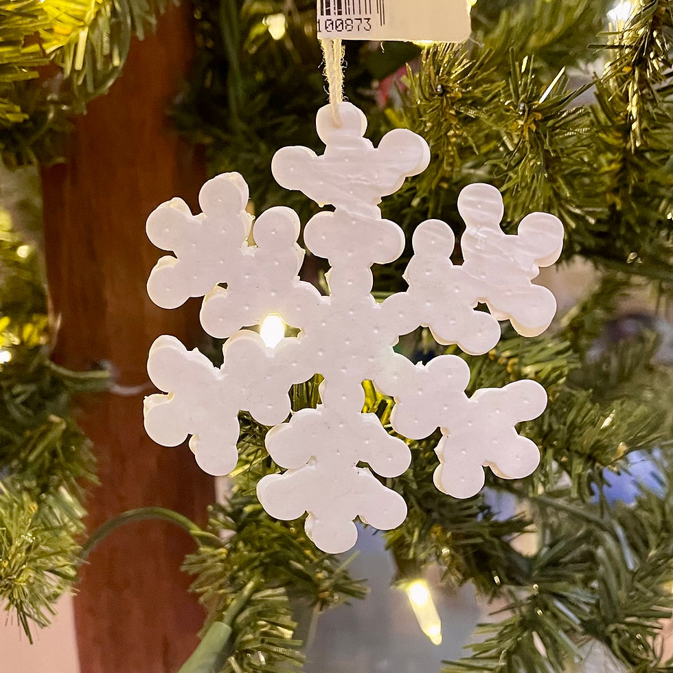 Ornaments by Various Artists