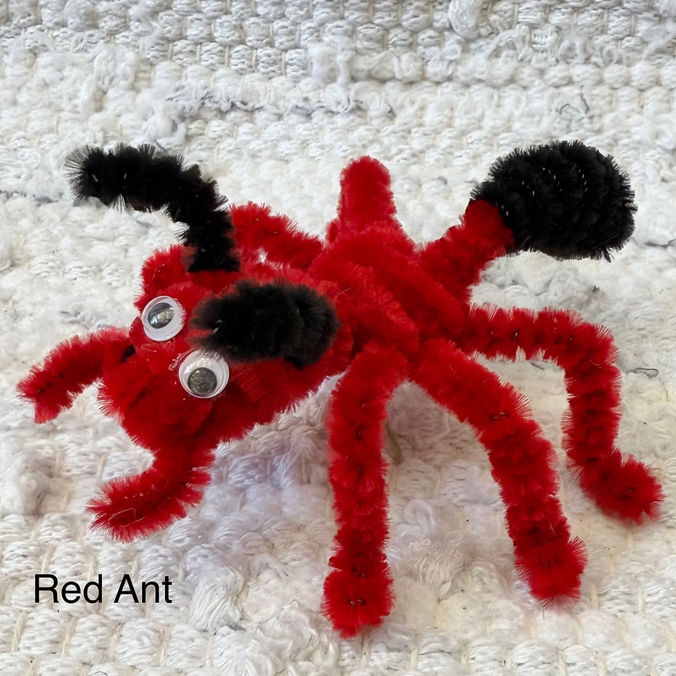 Thumbnail: Pipe Cleaner Creatures by Isaac