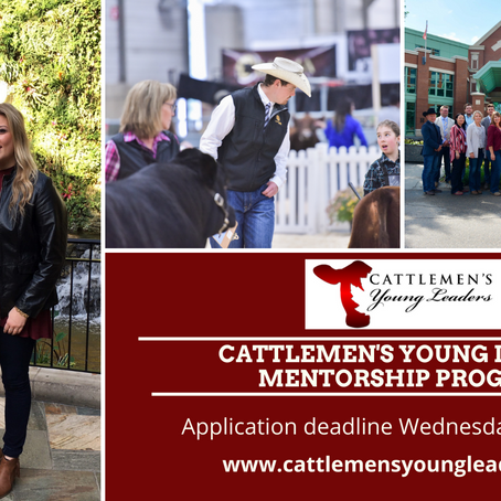Cattlemen’s Young Leaders Program application deadline March 31