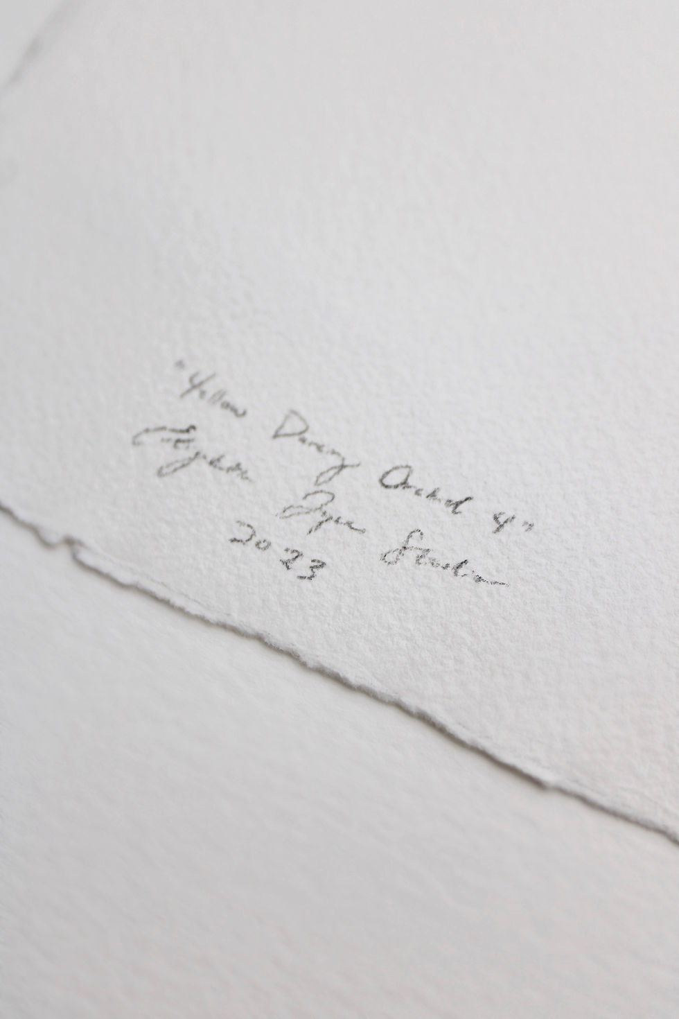 Thumbnail: Yellow Dancing Orchid 4