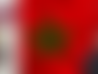 La Roumanie décerne à Yassine Mansouri sa plus haute distinction... [Dossier]