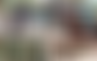 Enrôlement des enfants-soldats à Tindouf en algérie: Lettre ouverte de M. Mohammed Gherrabi à S.E.M. le Président Donald J. Trump...