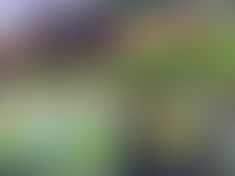 Enquête - Après #Dakar, #Kigali, #Marrakech, #Turin. C'est maintenant #Safi qui est concernée. Malgré les scandales et les dénonciations, le hooliganisme algérien a encore sévi. By- Gherrabi Mohammed