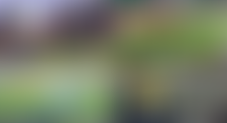 Enquête - Après #Dakar, #Kigali, #Marrakech, #Turin. C'est maintenant #Safi qui est concernée. Malgré les scandales et les dénonciations, le hooliganisme algérien a encore sévi. By- Gherrabi Mohammed 