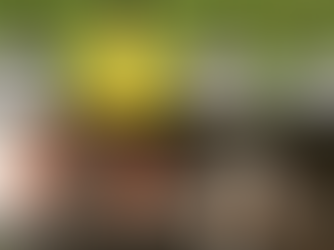 CAN scolaire 2026 - U15: une affaire de fraude sur l’âge agite le football africain... By- Mohammed Gherrabi