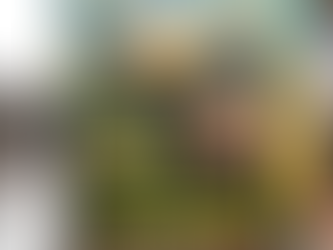 "Les frontières entre l'Egypte et Israël sont bel et bien ouvertes (24/7)" S.E. M. Abdel Fattah Al Sisi... Tout ce qui est bien ordonné commence par soi même...