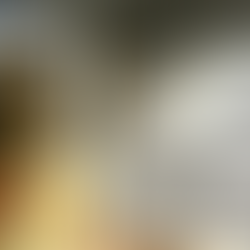 Israël - PhenOlives, une start-up israélienne transforme des sous-produits toxiques en ressources précieuses