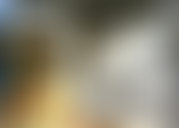 Israël - PhenOlives, une start-up israélienne transforme des sous-produits toxiques en ressources précieuses