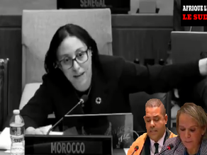 Des "dz" à l'ONU/ Une montagne⛰ n'a accouché que d'une toute petite souris🐀 et rien d'autre... A mountain brings forth a mouse and nothing else