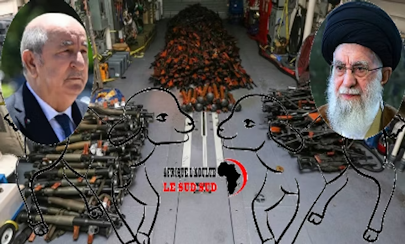 🚨The Sheep Gate: algérie - Iran, le sombre trafic caché derrière... [Enquête- Exclusive] By - Gherrabi Mohammed